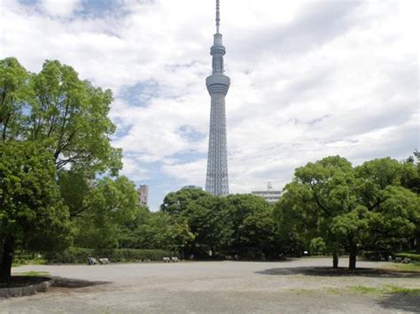 隅田公園（スミダコウエン）【ゲイ・ハッテン公園】｜ハッテン 